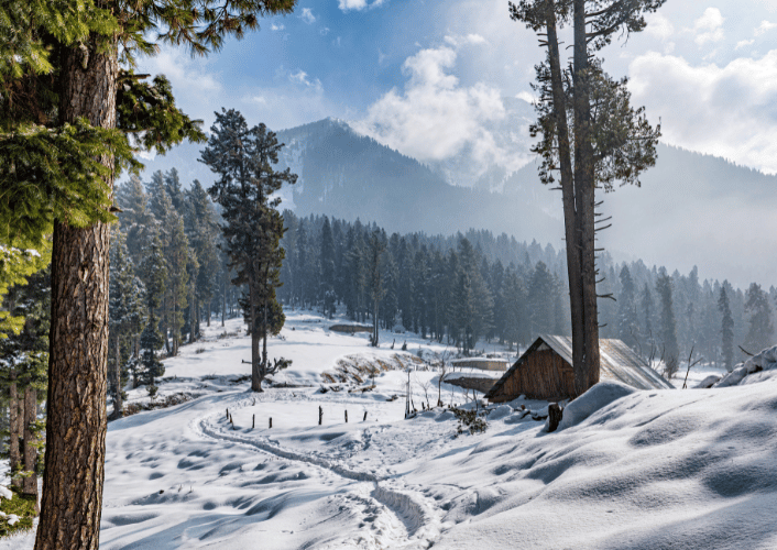 Kashmir Escape | Create Family Memories