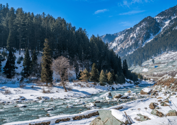 Unforgettable Honeymoon | Free Excursion To Doodpathri